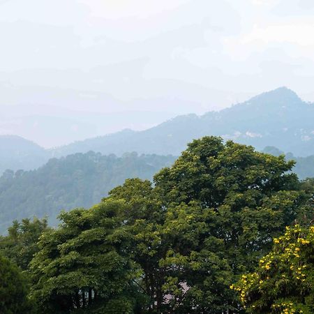 The Fern Surya Resort Kasauli Hills, Dharampur Εξωτερικό φωτογραφία